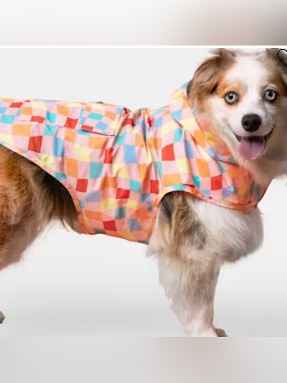 Canada Pooch Poncho for Dogs